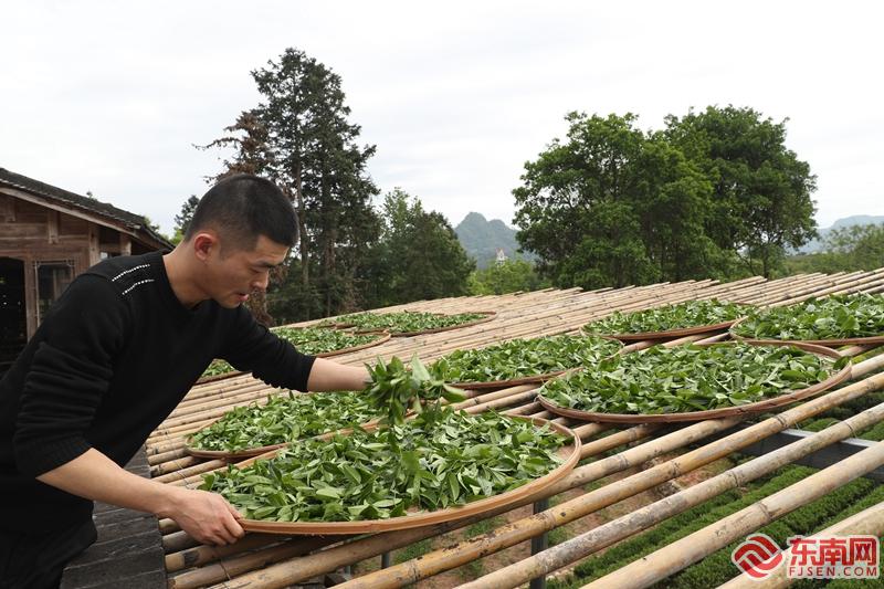 武夷山茶农传承制茶技艺