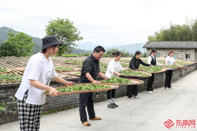 武夷山茶农传承制茶技艺