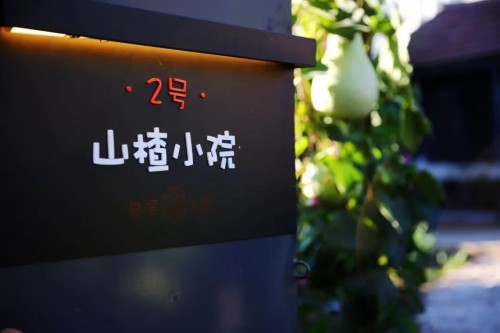 隐居乡里稻田理想民宿开业仪式暨“呆村里”计划发布会举办