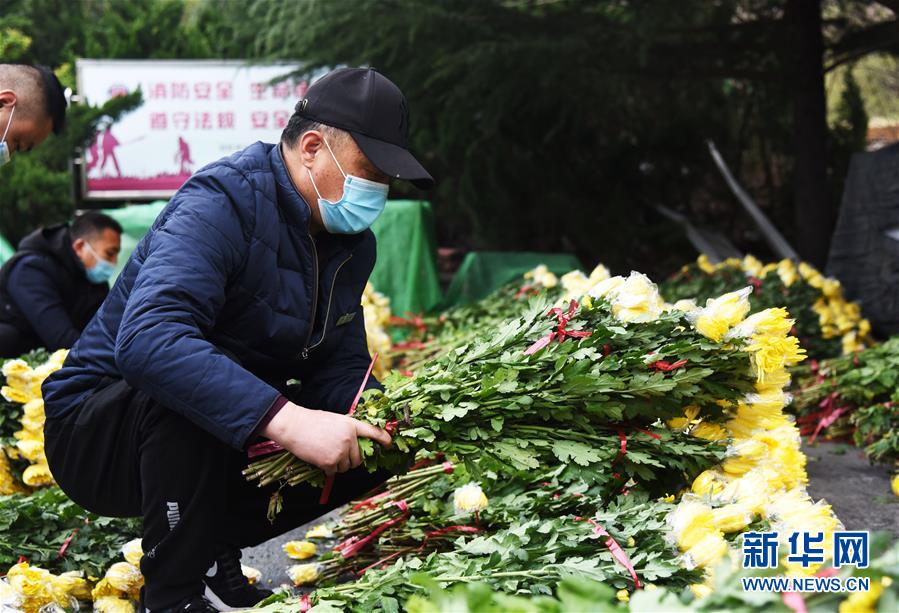 新华网：清明代祭寄哀思