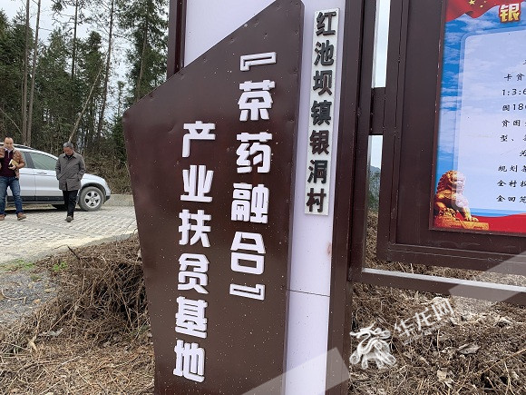 【区县联动】重庆巫溪红池坝镇搭上产业发展的快车