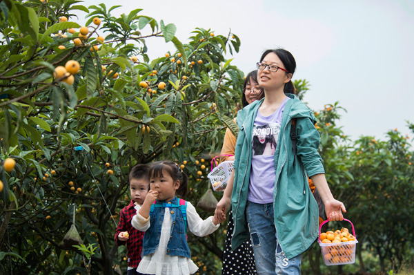 图片默认标题_fororder_市民带着小孩在枇杷园,-观光赏景