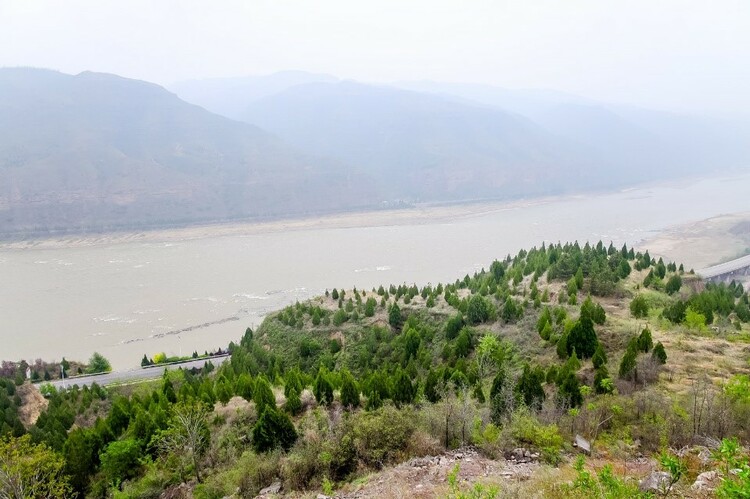 保护黄河生态：全国网友“手机种树”超6万棵落地陕西延安_fororder_52