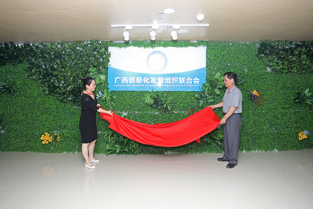 广西信息化发展组织联合会在南宁举行揭牌仪式