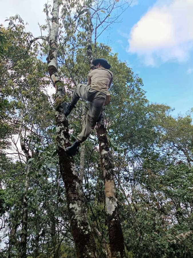 福建三明发现全球新物种“郭亮珠步甲”