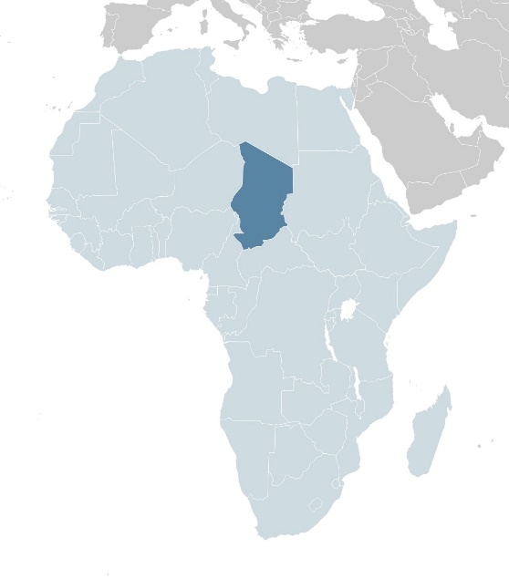 非洲观察丨乍得总统战死沙场 地区反恐道阻且长