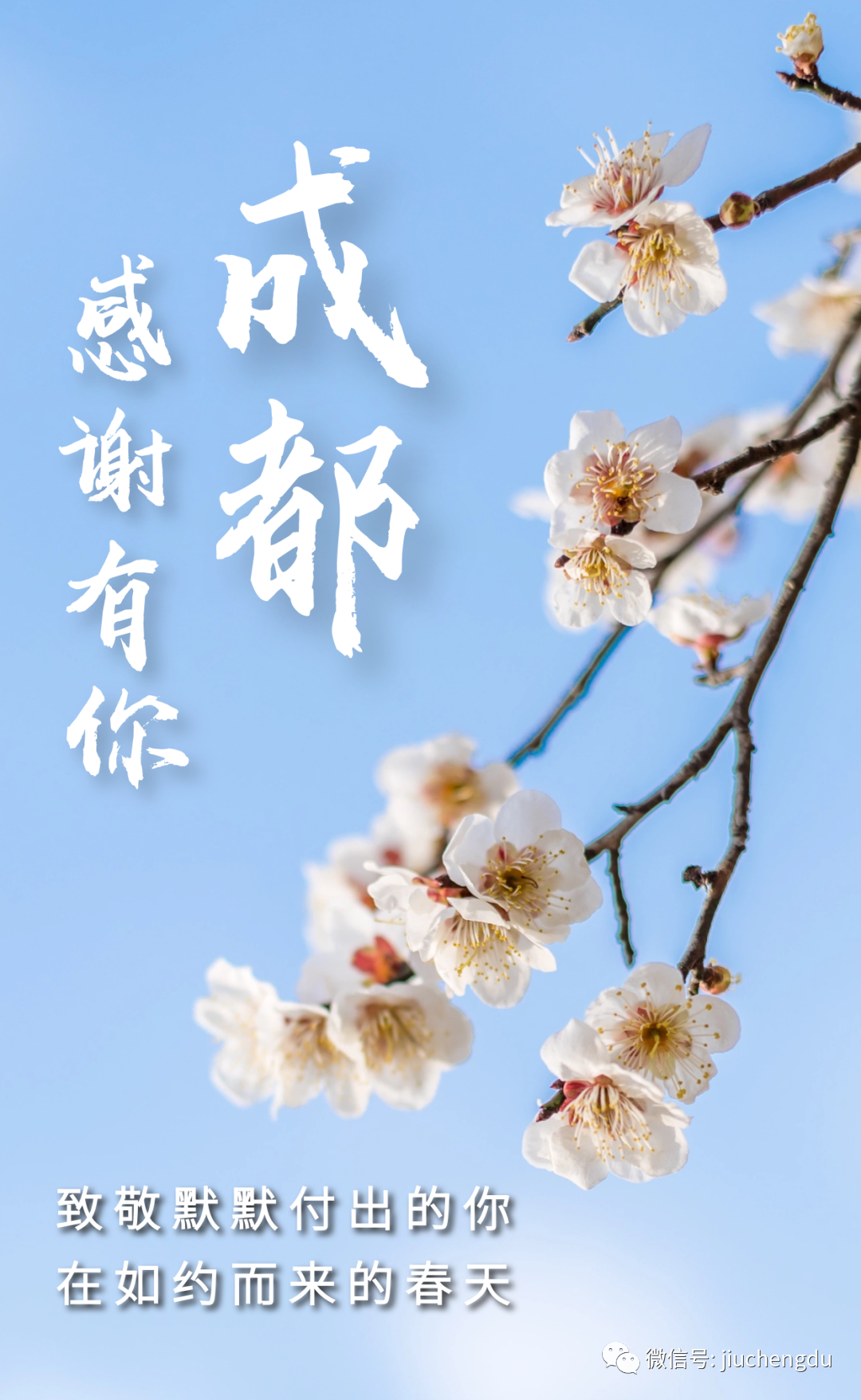 人民网■这首《成都》，不！一！样！