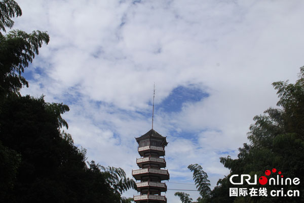 图片默认标题_fororder_3