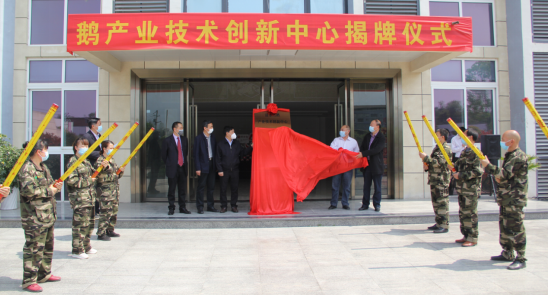 【垫江县委宣传部供稿】重庆首家鹅产业技术创新中心在垫江县揭牌