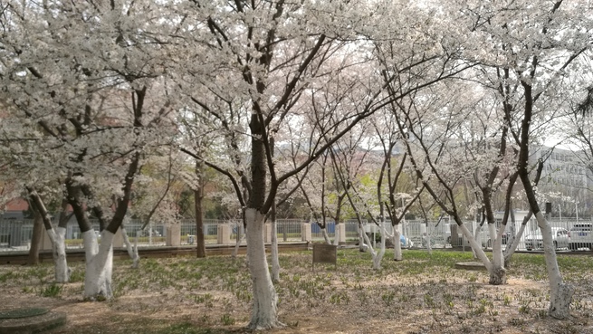 图片默认标题_fororder_WeChat Image_20200404120816