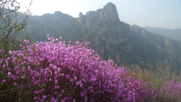 保定旅游景区新秀亮相 ——国家4A级景区云花溪谷5月1日将开园迎宾