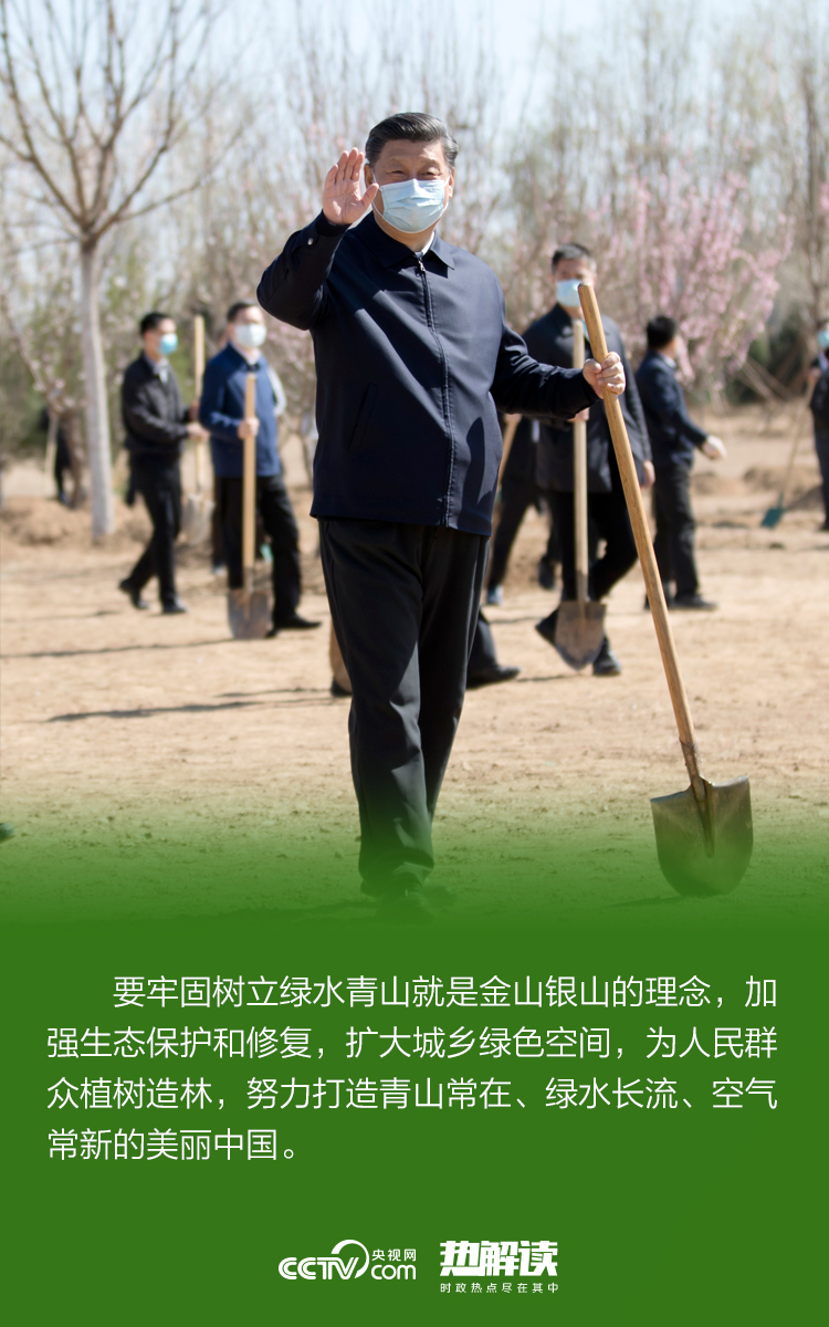 义务植树40年 陕西4亿人次年均植树6000万株