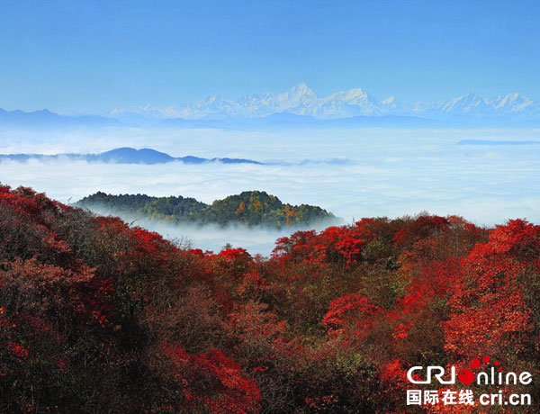 图片默认标题_fororder_峨眉山金秋彩林养生季（峨眉山旅游公司供图）