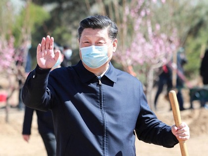 图片默认标题