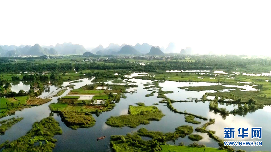 到桂林会仙湿地感受漓江流域生态之美