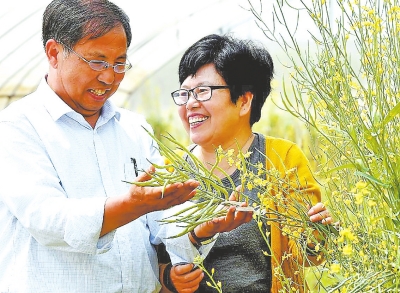 【CHINANEWS-带图列表】一家出了仨农业科学家探秘河南“全国最美家庭”