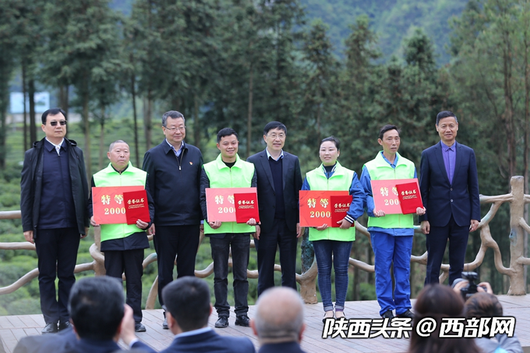 第二届陕西网上茶博会开幕 首推镇巴高山有机富硒茶