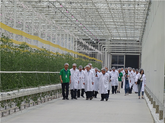 （转载）成都企业东坡行 成眉同城再“提速”