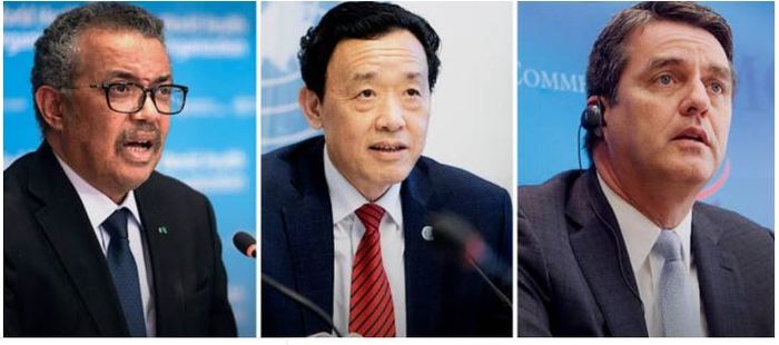 图片默认标题_fororder_1