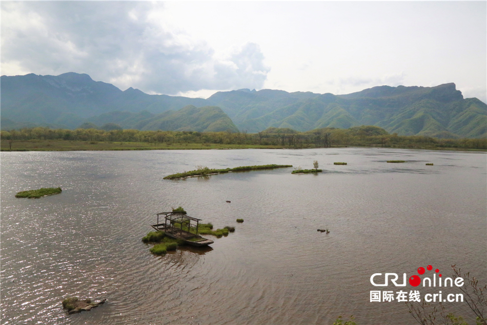 【壮丽70年·奋斗新时代】“云间湿地“——神农架大九湖