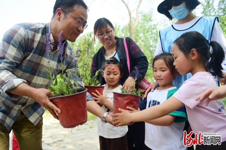 河北沧州：乡村研学了解传统药文化