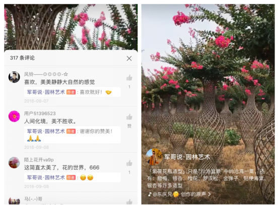 将植物造型凹出新花样,火山小视频这个园林大师走红 将植物造型凹出新花样,火山小视频这个园林大师走红