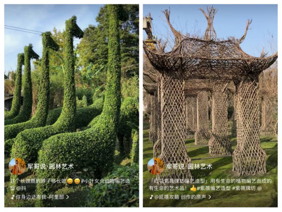 将植物造型凹出新花样,火山小视频这个园林大师走红 将植物造型凹出新花样,火山小视频这个园林大师走红