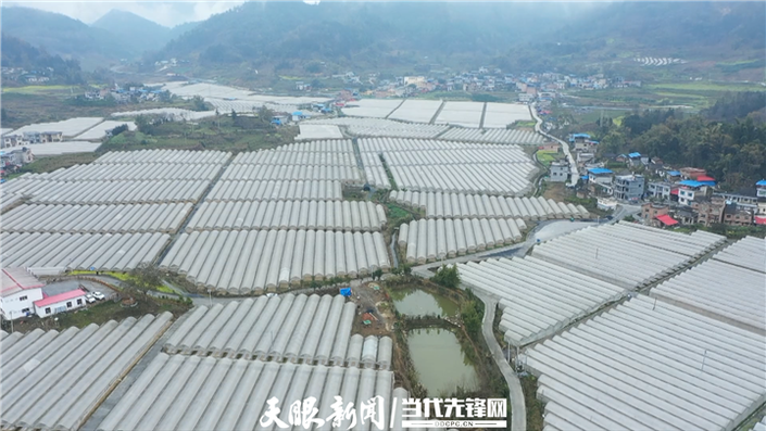 （大扶贫） 贵州：丰富市民“菜篮子” 鼓起农民“钱袋子”