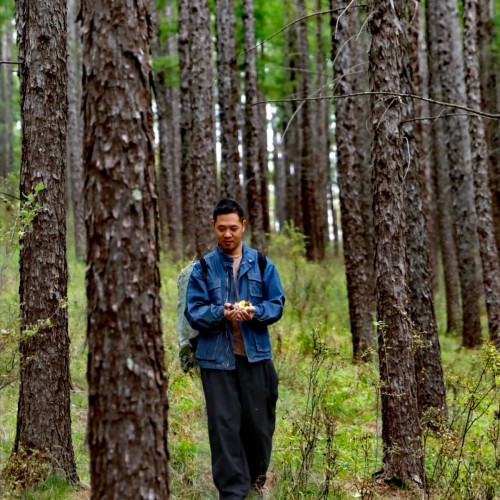 隐居乡里稻田理想民宿开业仪式暨“呆村里”计划发布会举办