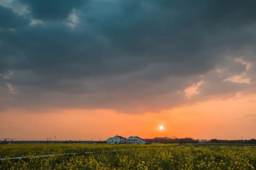 隐居乡里稻田理想民宿开业仪式暨“呆村里”计划发布会举办
