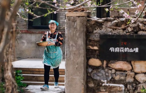 隐居乡里稻田理想民宿开业仪式暨“呆村里”计划发布会举办