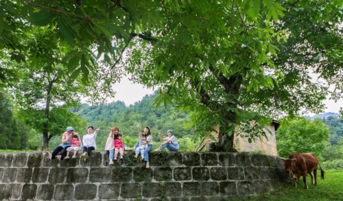 隐居乡里稻田理想民宿开业仪式暨“呆村里”计划发布会举办