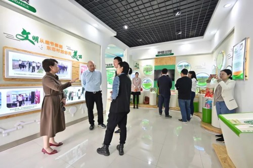 隐居乡里稻田理想民宿开业仪式暨“呆村里”计划发布会举办