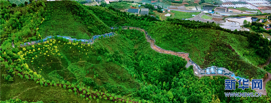 【城市远洋】重庆3D立体画获“世界最长、面积最大”吉尼斯世界纪录