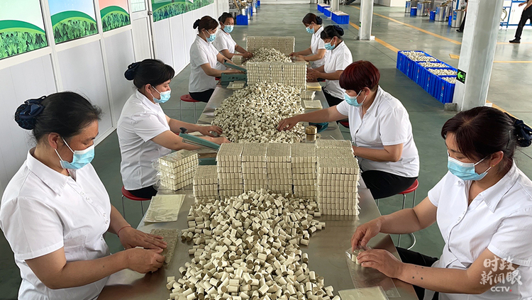 时政新闻眼丨习近平赴河南南阳考察,为何关注这些名人、名产?