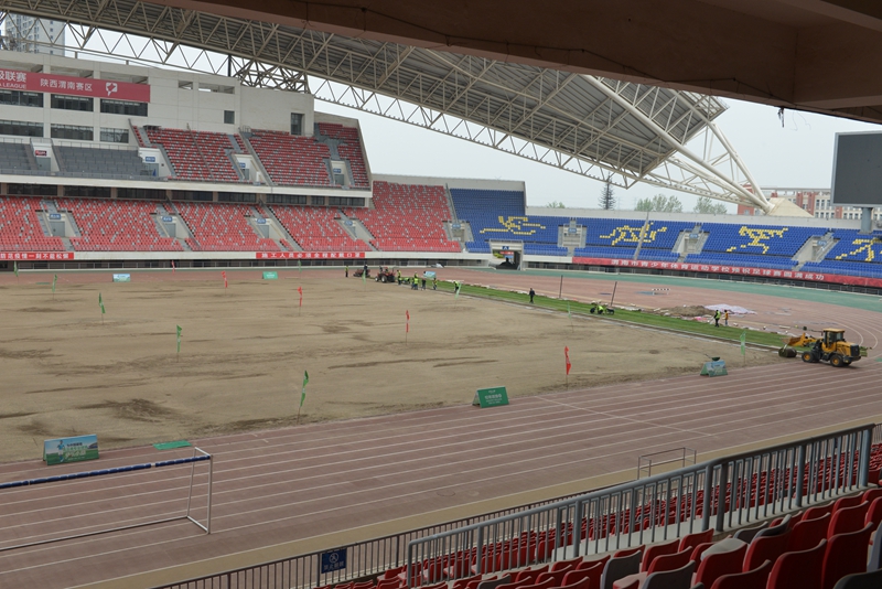 上新了!看看渭南市体育中心足球场新草坪长啥样