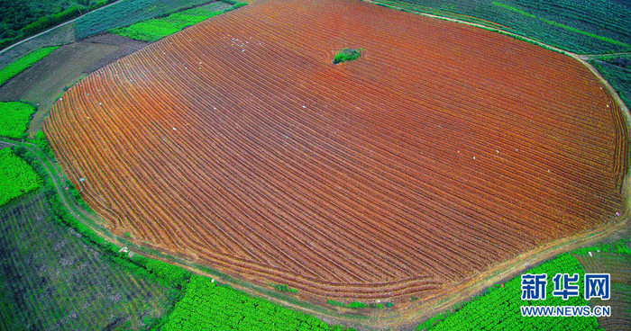 图片默认标题 图片默认标题_fororder_wKgACl6L19iAdAsqAAAAAAAAAAA545.900x473