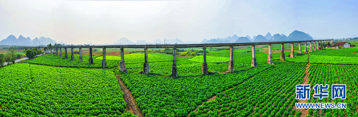 图片默认标题 图片默认标题_fororder_wKgACl6L19iAT6CRAAAAAAAAAAA583.900x294