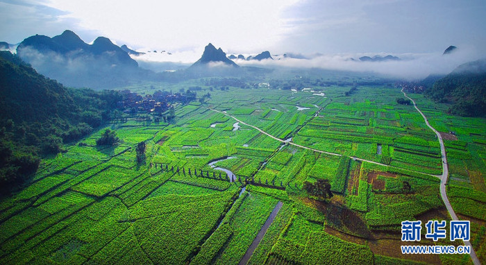 图片默认标题 图片默认标题_fororder_wKgACl6L19eAEXx9AAAAAAAAAAA308.900x491