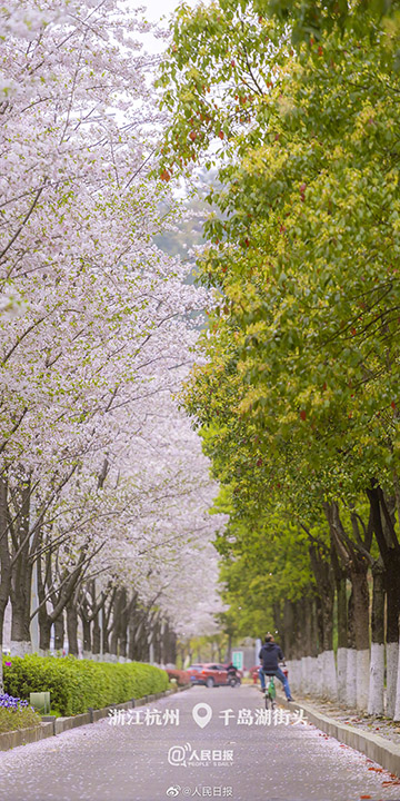 图片默认标题_fororder_0407-1-4