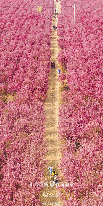 图片默认标题_fororder_0407-1-3