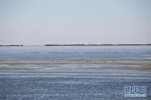 article_img