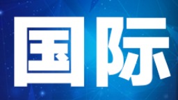 尼日尔政府军士兵巡逻时遭伏击 16名士兵身亡