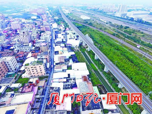 【厦门】【移动版】【Chinanews带图】打造生态景观带厦深铁路沿线变得越来越亮丽