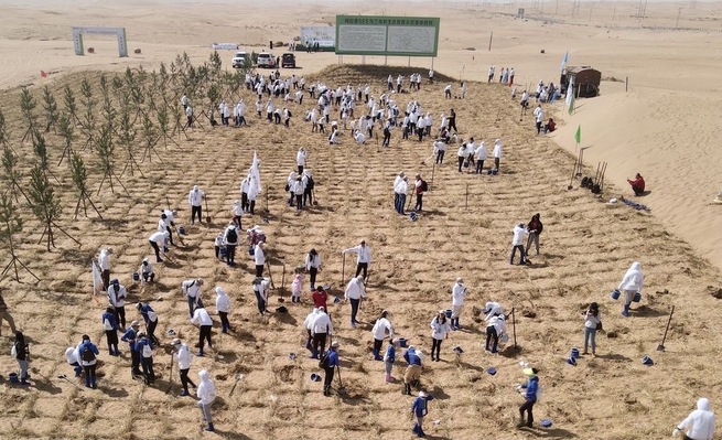 1億本梭梭植樹イベントが内蒙古のウランプハ砂漠で開催_fororder_图2