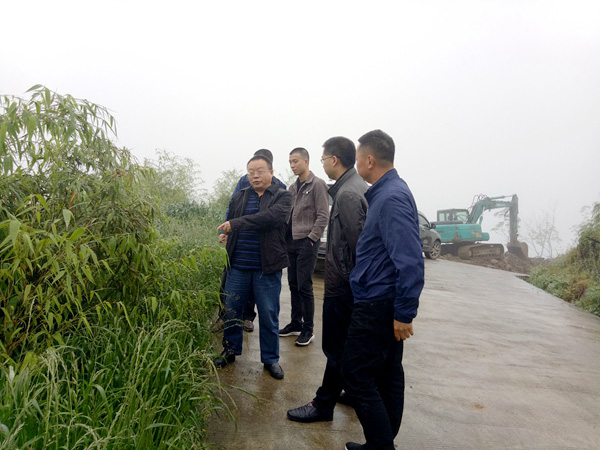 图片默认标题_fororder_调研方竹产业