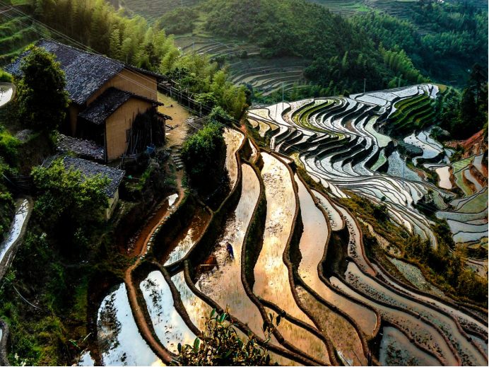 五一乡村旅游热江西遂川桃源梯田景区受热捧