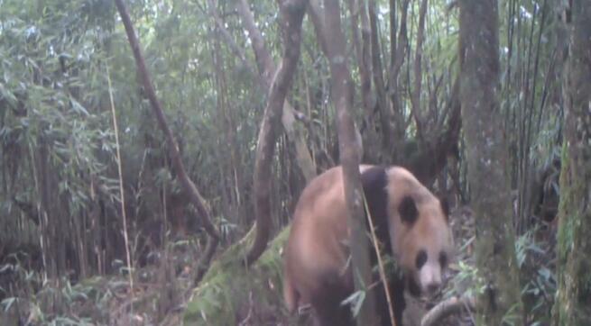 图片默认标题_fororder_050605