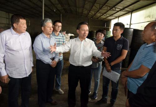 环保部长调研大气污染治理 强调持续保持高压态势