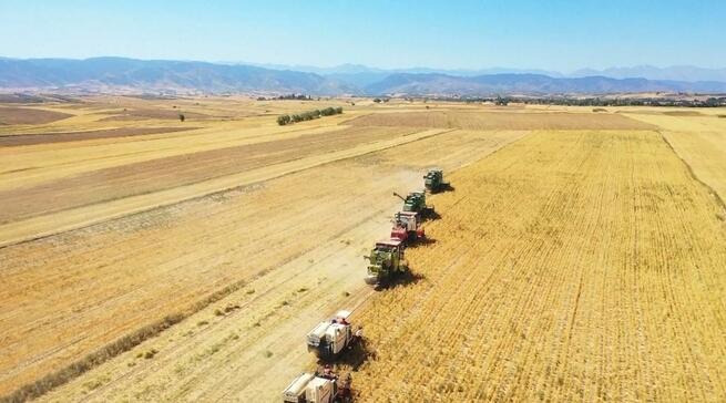 图片默认标题_fororder_050606